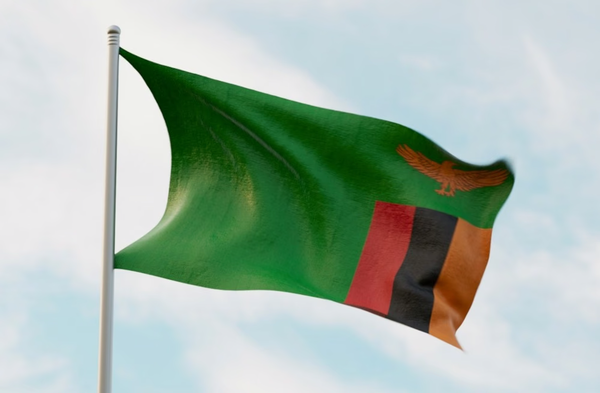 Drapeau de la Zambie
